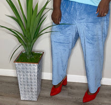 Load image into Gallery viewer, VINTAGE VELOUR PANTS (2X PETITE)
